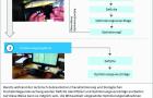 Infografik Fischschutz: Mehrstufiger Optimierungsprozess im Laufe der standörtlichen Evaluierung des Fischschutzes und Fischabstieges